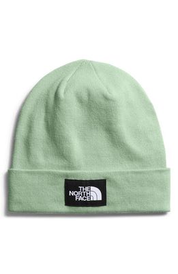 The North Face Dock Worker Recycled Beanie in Misty Sage