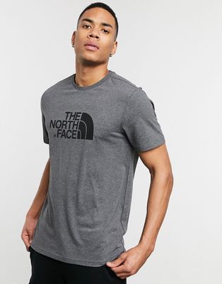 The North Face Easy t-shirt in gray