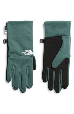 The North Face Etip Gloves in Dark Sage