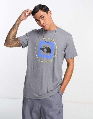 The North Face Geo NSE logo t-shirt in gray