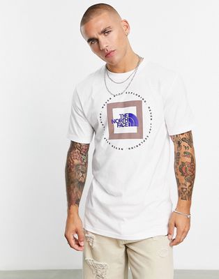 The North Face Geo NSE T-shirt in white/taupe