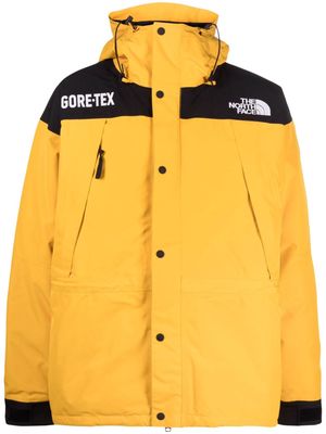 The North Face Gore-Tex Mountain Guide insulated jacket - Orange
