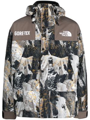 The North Face Gore-Tex Mountain hooded jacket - Brown
