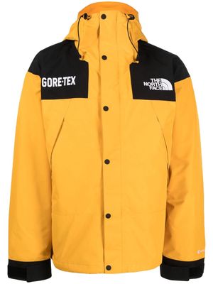 The North Face Gore-Tex Mountain insulated jacket - Orange