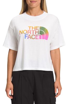 The North Face Half Dome Crop Graphic Tee in Tnf White/Ombre Graphic