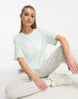 The North Face Half Dome cropped chest print T-shirt in baby blue
