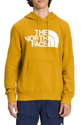 The North Face Half Dome Graphic Pullover Hoodie in Arrowwood Yellow