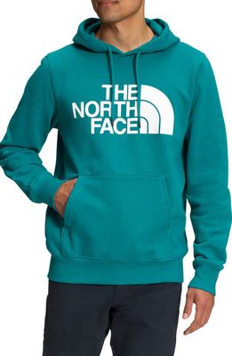 The North Face Half Dome Graphic Pullover Hoodie in Harbor Blue/Tnf White
