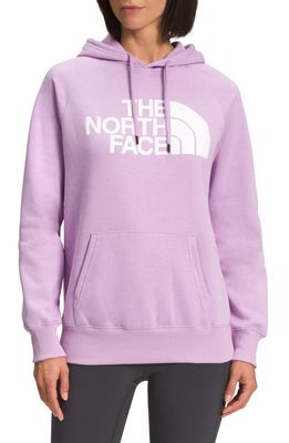 The North Face Half Dome Graphic Pullover Hoodie in Lupine/Tnf White