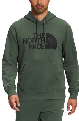 The North Face Half Dome Graphic Pullover Hoodie in Thyme/Black