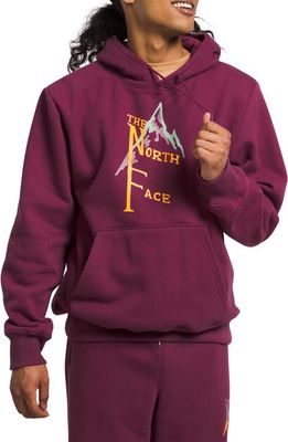 The North Face Heavyweight Graphic Hoodie in Boysenberry/Lo-Fi