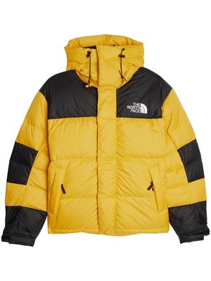 The North Face HMLYN Baltoro logo-print jacket - Yellow