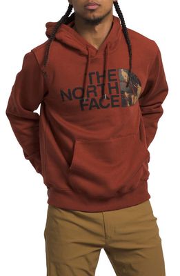 The North Face Holiday Half Dome Hooded Pullover in Brandy Brown Evolved Texture