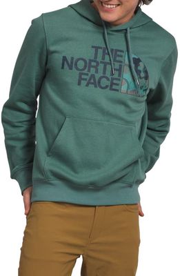 The North Face Holiday Half Dome Hooded Pullover in Dark Sage Camo Texture Print