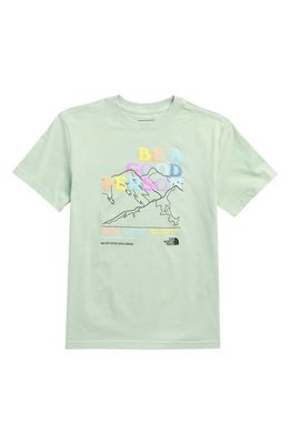 The North Face Kids' Adventure Cotton Graphic T-Shirt in Misty Sage/Be A Good Person