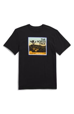 The North Face Kids' Adventure Cotton Graphic T-Shirt in The North Face Black