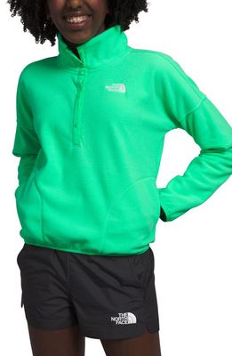 The North Face Kids' Glacier Pullover in Chlorophyll Green