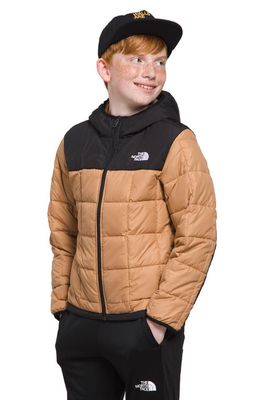 The North Face Kids' Lhotse Water Repellent Hooded Jacket in Almond Butter