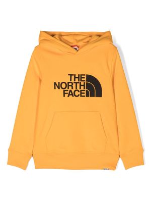 The North Face Kids logo-embroidered cotton hoodie - Orange