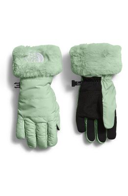 The North Face Kids' Mossbud Water Repellent Gloves in Misty Sage/Dark Sage