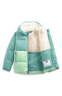 The North Face Kids' North Hooded Water Repellent 600 Fill Power Down Jacket in Wasabi