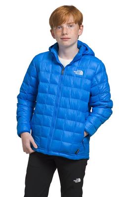 The North Face Kids' Thermoball Hooded Jacket in Optic Blue