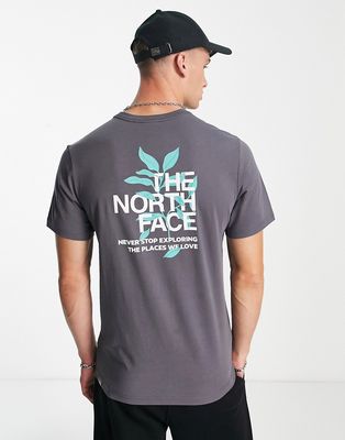 The North Face Leaves graphic T-shirt in gray - Exclusive to ASOS