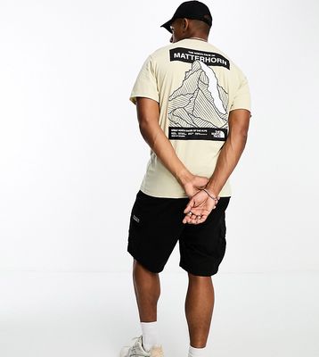 The North Face matterhorn face T-shirt in beige - Exclusive to ASOS-Gray