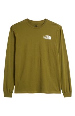 The North Face NSE Box Logo Graphic T-Shirt in Forest Olive/Khaki Stone