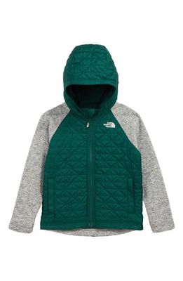 The North Face Quilted Sweater Fleece Jacket in Night Green