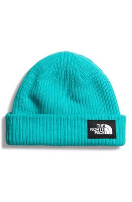 The North Face Salty Dog Beanie in Apres Blue