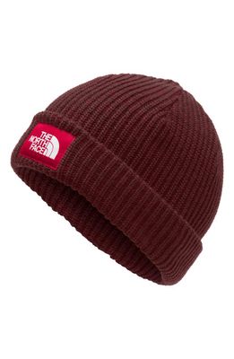 The North Face Salty Dog Beanie in Deep Garnet Red