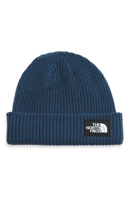 The North Face Salty Dog Beanie in Shady Blue