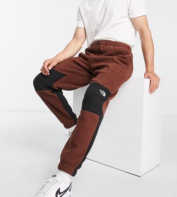 The North Face Shispare high pile fleece sweatpants in oak brown - Exclusive to ASOS