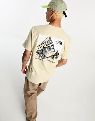 The North Face Sketch Box T-shirt in beige - Exclusive to ASOS-Gray