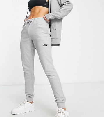 The North Face skinny sweatpants in gray Exclusive to ASOS