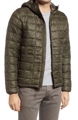 The North Face ThermoBall™ Eco Hooded Jacket in New Taupe Green