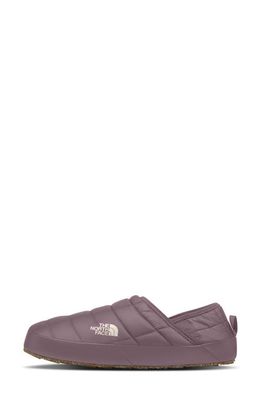 The North Face Thermoball Water Repellent Traction V Mule in Fawn Grey/Gardenia White