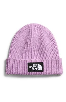 The North Face TNF Box Logo Beanie in Lupine