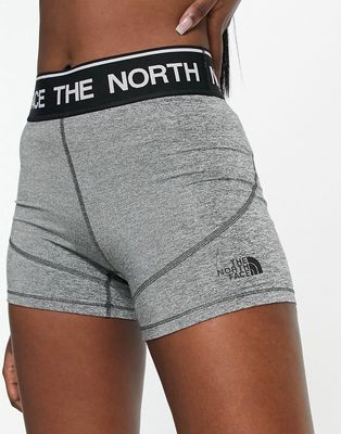 The North Face Training logo shorts in gray