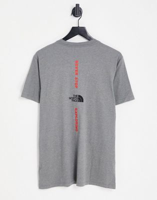 The North Face Vertical NSE T-shirt in gray