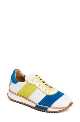 The Office of Angela Scott The Quinn Sneaker in Electric Color Block