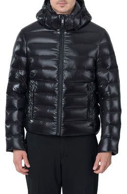 The Recycled Planet Company Scutar Windproof & Water Repellent Recycled Down Puffer Jacket in Black