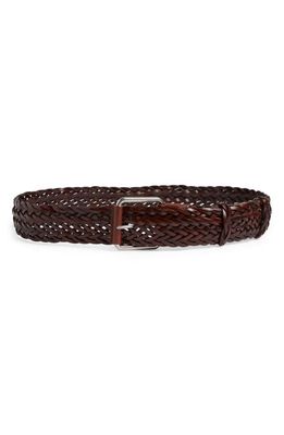 The Row Woven Leather Belt in Dark Cuir Ans