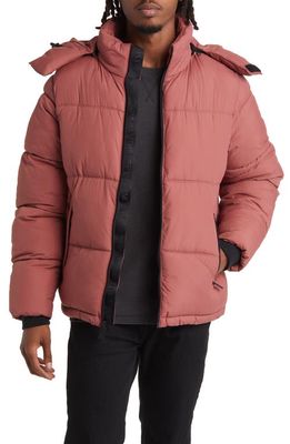 The Very Warm Gender Inclusive Hooded Puffer Coat in Auburne