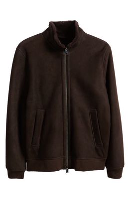 Theory Marco Genuine Shearling Jacket in Mink