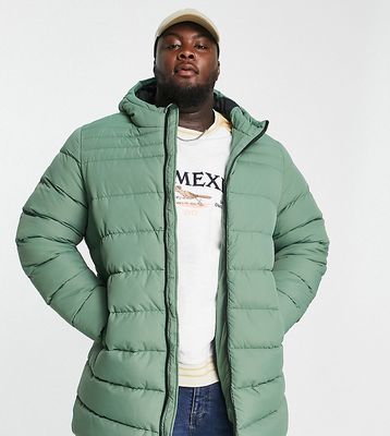Threadbare Plus longline puffer jacket with hood in pale green