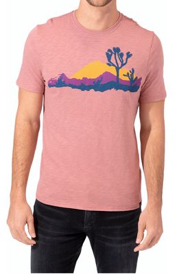 Threads 4 Thought Desertscape Slub Jersey Graphic T-Shirt in Sequoia