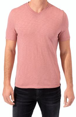 Threads 4 Thought V-Neck T-Shirt in Sequoia