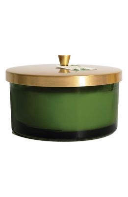 Thymes Frasier Fir Four-Wick Candle in Green